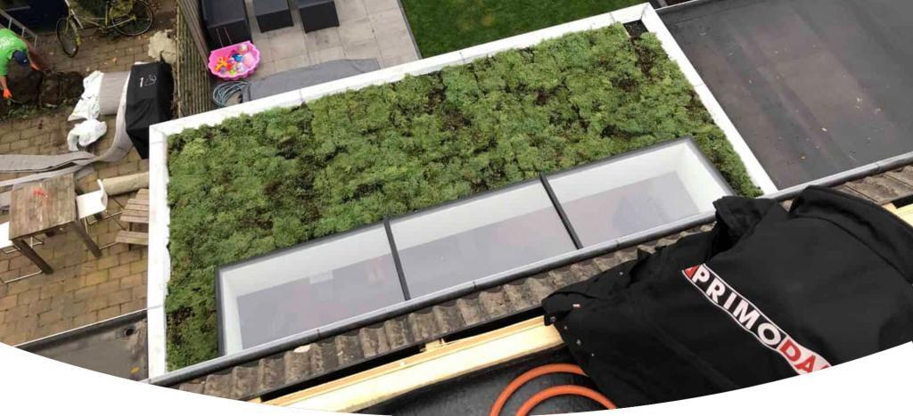 groendaken wat zijn dat